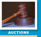 AUCTIONS